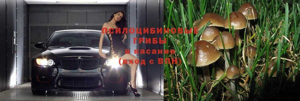 mdpv Алзамай