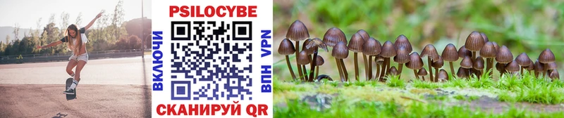 darknet формула  закладки  Балашов  Псилоцибиновые грибы мухоморы 