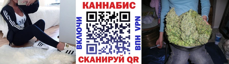 Марихуана план  Балашов 